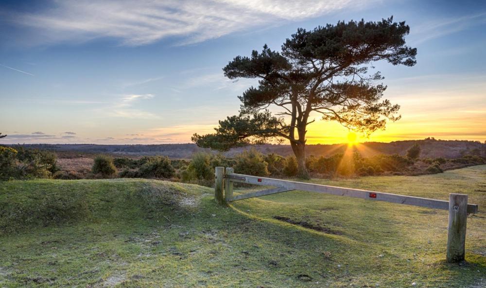 The Knightwood Oak A Luxury King Size En-Suite Space - Lymington New Forest With Totally Private Entrance - Key Box Entry - Free Parking & Private Outdoor Seating Area - Town ,Shops , Pubs & Solent Way Walking Distance & Complimentary Breakfast Items المظهر الخارجي الصورة